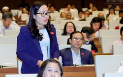 Đề xuất lùi 1 năm áp dụng chương trình giáo dục, sách giáo khoa mới 