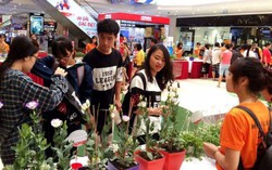 Ngày hội Đổi giấy lấy cây xanh bảo vệ môi trường