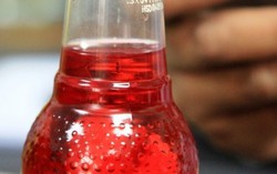 Nhện trong chai nước Sting: Cục ATTP tiếp nhận làm rõ