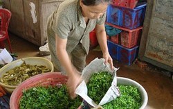 Bài cuối: Khi phụ nữ 'Nói không với túi nilon'