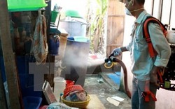 Bộ trưởng Y tế Asean họp khẩn đối phó với Zika