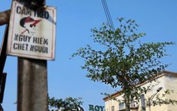 Treo cờ đón Tết, 2 vợ chồng bị điện giật