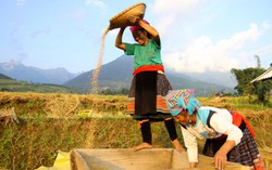 Phụ nữ Sơn La đoàn kết, sáng tạo, xây dựng Hội vững mạnh
