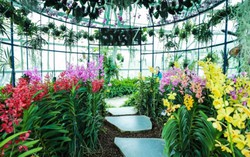 Du xuân lên rừng xuống biển ngay tại Vinpearl Nha Trang