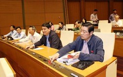 Quốc hội thông qua xây dựng Cảng hàng không quốc tế Long Thành