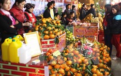 Thêm điểm mua sắm nông sản an toàn dịp Tết dương lịch