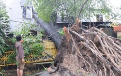 Áp thấp vào đất liền gây nhiều thiệt hại các tỉnh phía Nam