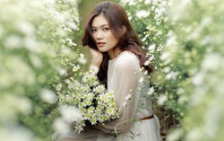 Hoa khôi Miss Photo Vũ Hương Giang mơ màng bên cúc họa mi