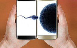 Smartphone giúp đàn ông kiểm tra chất lượng 'con giống'
