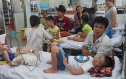 Nguyên nhân khiến số người sốt xuất huyết tăng chóng mặt