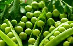 5 nhóm thực phẩm tăng cường 'bản lĩnh' cho phái mày râu