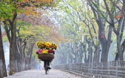 Hà Nội vào top 10 thành phố tăng trưởng du lịch nhanh nhất thế giới