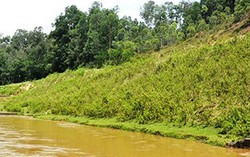 Nghệ An: 3 học sinh đuối nước thương tâm sau khi đi cắt cỏ