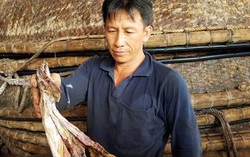 Gần 1.000 tấn mực khô ứ đọng được thu mua, ngư dân phấn khởi