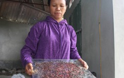 Bệnh tật bủa vây người dân quanh bãi rác Nam Sơn