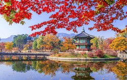 Được cấp visa không phải chứng minh tài chính: Nông dân háo hức đi Hàn
