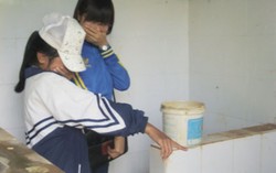 Nhà vệ sinh trường học xú uế vì... học sinh
