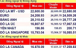 Tỉ giá hạ nhiệt, mức trần vẫn ở ngưỡng 22.778 VND/USD