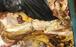 Thịt bò thối... tươi rói nhờ hóa chất