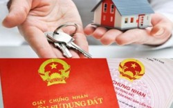 Ông nội cho đất, cháu 5 tuổi có được đứng tên trong sổ đỏ?