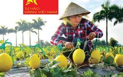 Doanh nghiệp, hộ sản xuất cần sẵn sàng tận dụng cơ hội khi thực thi Hiệp định EVFTA