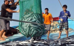 Xã đầu tiên của Quảng Trị nhận bồi thường do sự cố môi trường biển