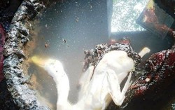 Bắt quả tang cơ sở dùng hàn the tẩy trắng thịt vịt