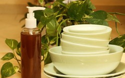 Cô giáo chế nước rửa chén thiên nhiên giá 6.000 đồng