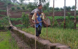 Chuyện tình 29 năm chồng mù cõng vợ đi làm đồng 