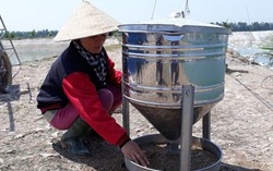 Nghệ An: Hiệu quả từ mô hình phụ nữ phát triển kinh tế 