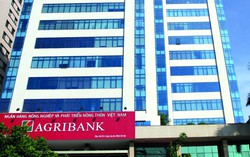 Agribank xếp hạng 156/500 ngân hàng lớn nhất Châu Á về quy mô tài sản