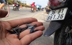 Có thể phạt 10 năm tù với 'đinh tặc' 
