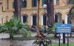 Nữ sinh Chu Văn An gãy tay, chân do cây đổ trong trường