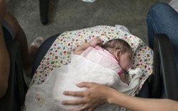 Nghi hóa chất diệt muỗi gây bệnh đầu nhỏ