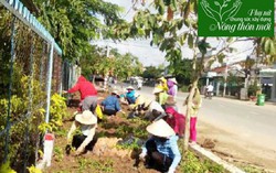 Phụ nữ Tân Thạnh góp phần thiết thực xây dựng nông thôn mới