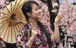 3 lễ hội hoa tháng ba ngay tại Việt Nam