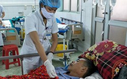 Suy thận nặng vì uống nước gừng với mật cá trắm để tẩm bổ