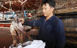 Ngư dân khóc ròng khi tàu nằm bờ, hàng trăm tấn mực khô chờ 'giải cứu'