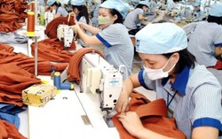 Ngành dệt may sẽ không thưởng Tết 2017 bằng áo may ô, quần đùi