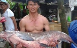 Bắt được cá trắm đen 34kg ở hồ Thác Bà