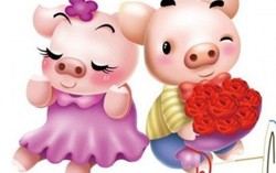 Người tuổi Hợi tính cách đa sầu đa cảm?