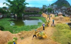 Quê hương trong ngăn cặp