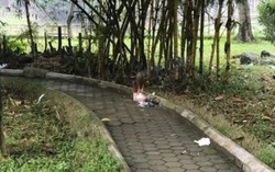 Truy bắt nghi phạm sát hại cô gái tử vong trong tình trạng bán khỏa thân