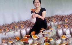 8 mô hình khởi nghiệp phù hợp cho phụ nữ nông thôn