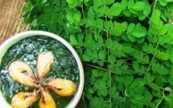 Một số loại rau khiến bà bầu có nguy cơ sảy thai