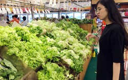 Người tiêu dùng hoang mang giữa 'rừng' rau hữu cơ thật - giả