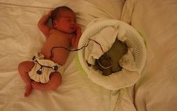 Khuyến cáo khẩn trước trào lưu sinh con thuận tự nhiên
