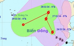 Bão số 9 di chuyển phức tạp, hướng về Nam Trung bộ