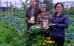 Hai bạn trẻ 9X giải cứu nông sản bền vững với "Ngỗng"