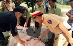 Bắt giữ gần 6 tấn mỡ, thịt động vật ôi thiu
